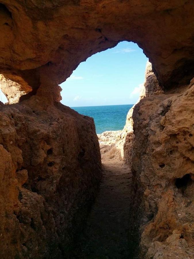 Al Algarve - Alojamento Local Com Excelente Localizacao Carvoeiro  Exterior photo