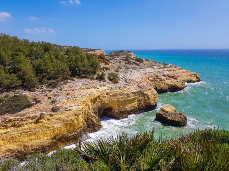 Al Algarve - Alojamento Local Com Excelente Localizacao Carvoeiro  Exterior photo